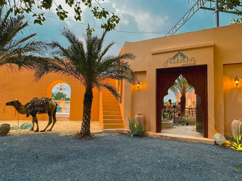 Khám Phá Văn Hóa Ẩm Thực Ba Tư Tại Nhà Hàng Alibaba Kitchen & Bar ở Sài Gòn