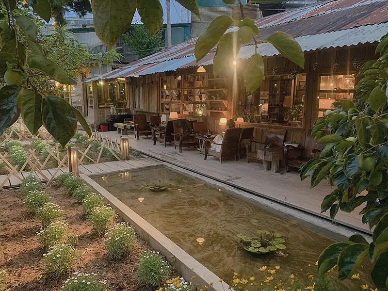 túi mơ to đà lạt