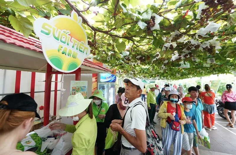 Suối Tiên Farm